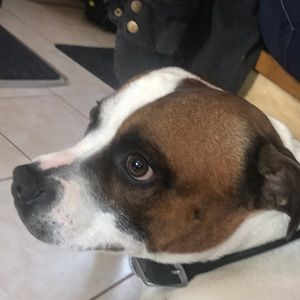 Meet your Posher, Annabelle